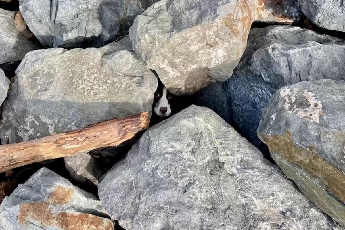 Entre las rocas