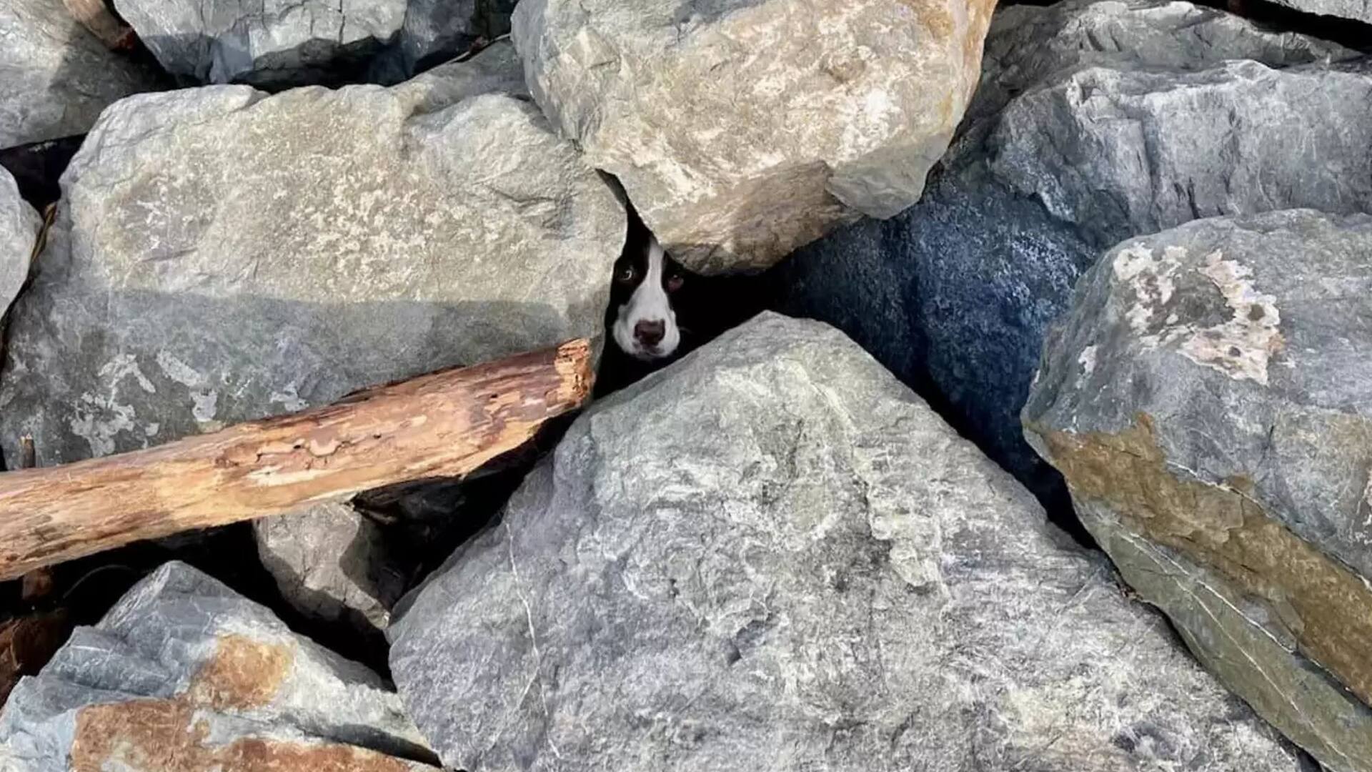 Entre las rocas