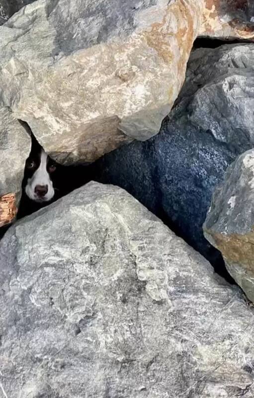 Entre las rocas