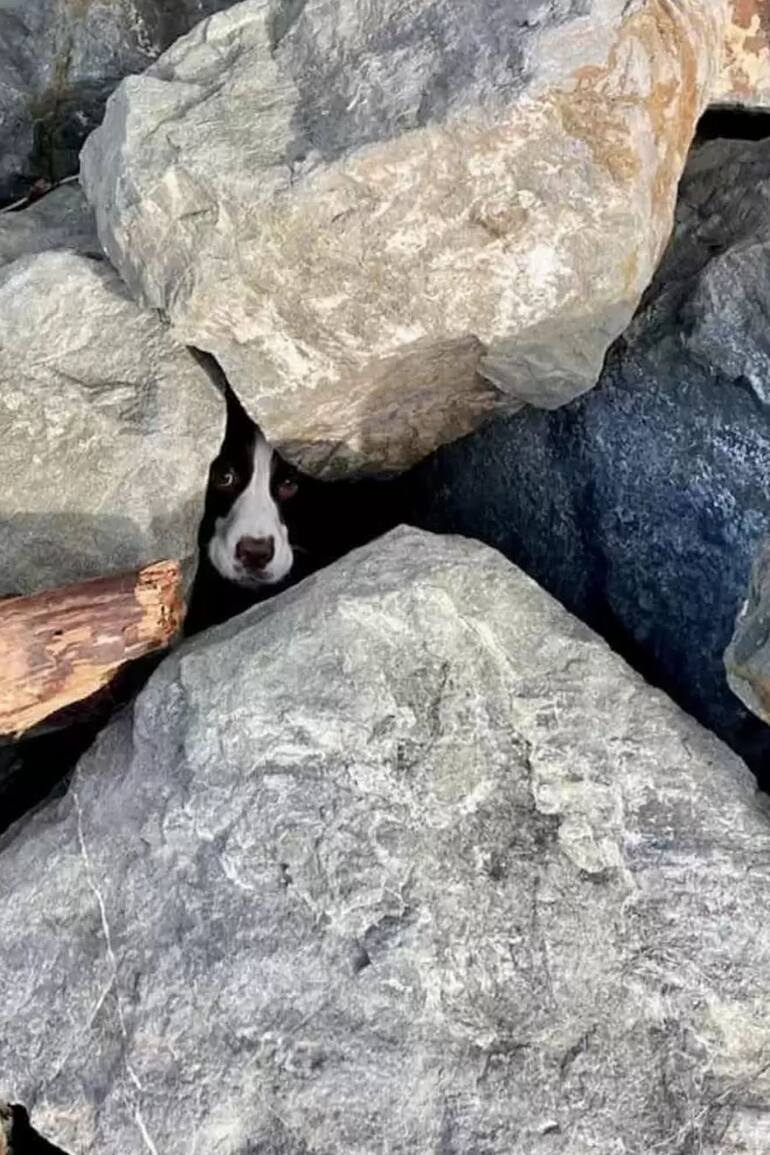 Entre las rocas