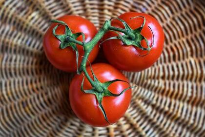 Entre las frutas que los especialistas de la salud recomiendan se encuentra el tomate