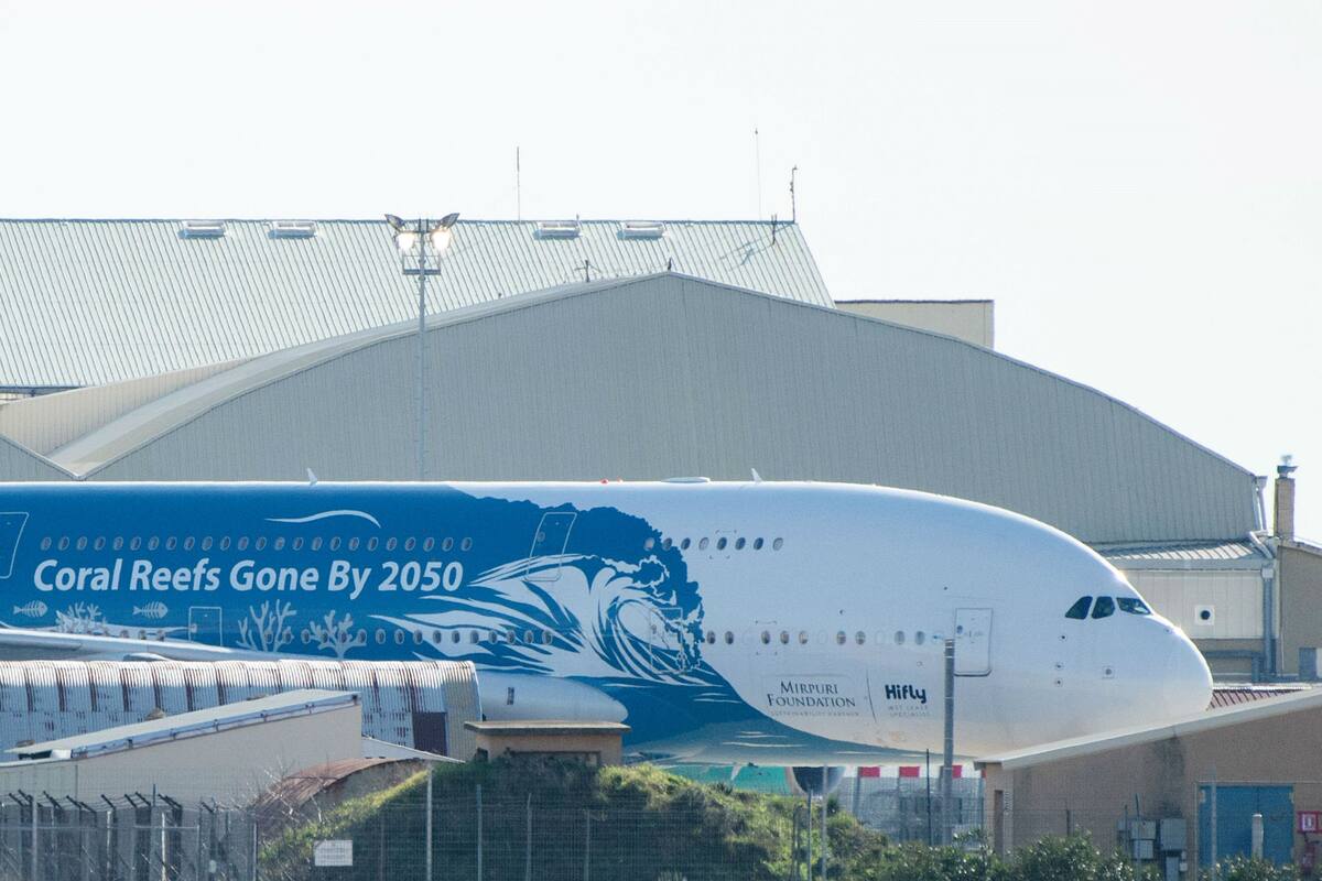 Entre las medidas que se implementaron por el nuevo coronavirus, las grandes empresas de distintos sectores llevaron adelante distintas iniciativas para intentar mitigar el impacto del virus originado en China.