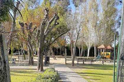 Entre los amenities tiene juegos para chicos, canchas de fútbol, de tenis, pileta, gimnasio y club house con restaurante
