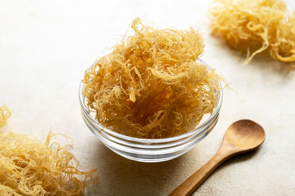 Entre los beneficios del musgo marino destacan el fortalecimiento del sistema inmunológico