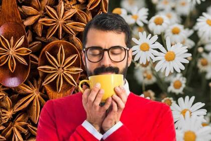 Entre los beneficios del té se destacan el alivio de problemas digestivos, el fortalecimiento del sistema inmunitario, y la mejora de la calidad del sueño y de la salud de la piel