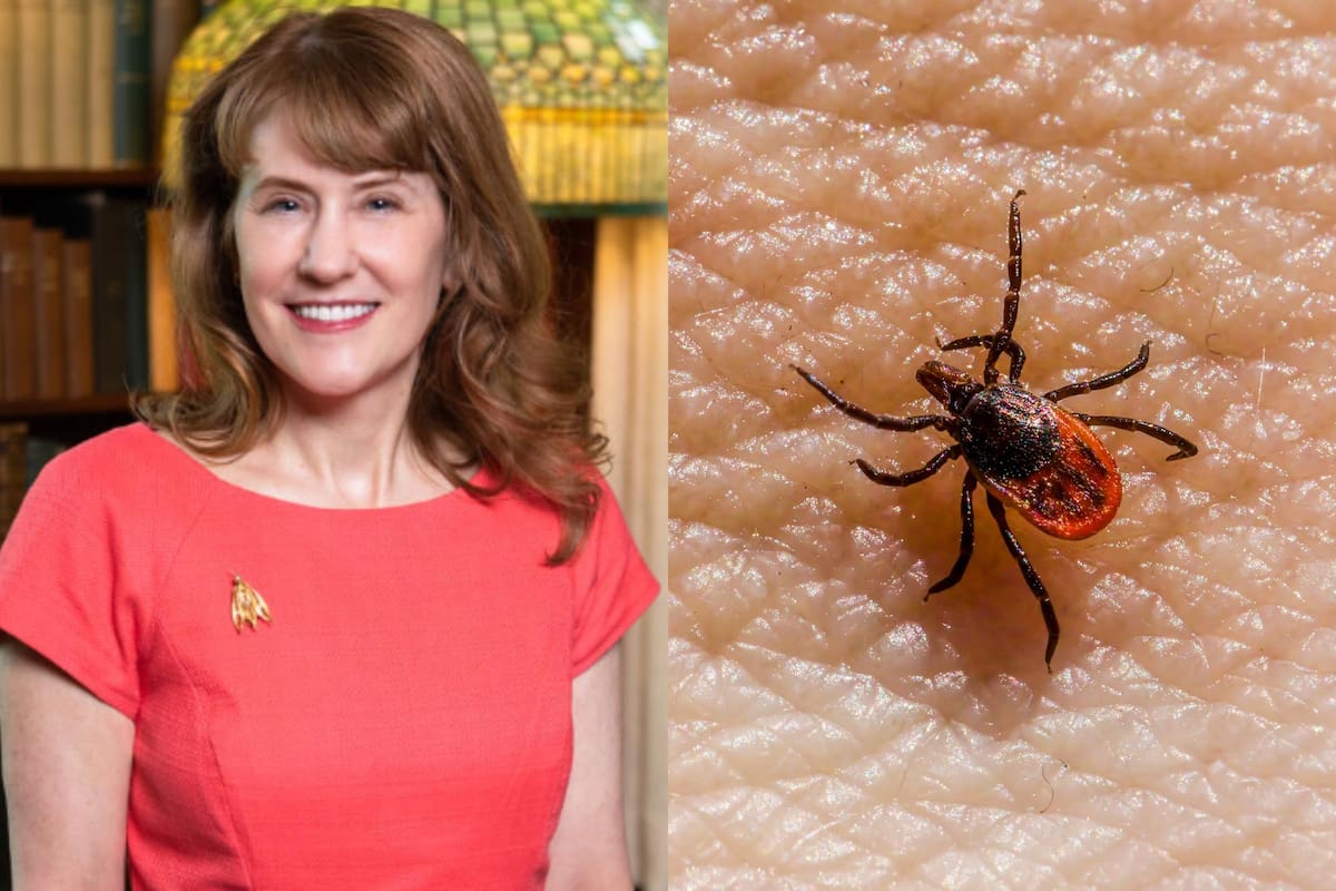 Entre los consejos populares para facilitar el retiro de una garrapata, solo hay uno recomendado por los expertos (Mayo Clinic Alumni Association) (Unsplash/Erik Karits)