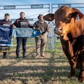 Brangus llevó su potencial carnicero al MAG y buscó acercarse a la industria y el consumidor