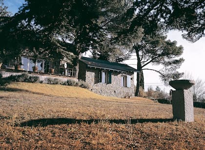 Entre los pinos, la construcción se despliega donde el terreno sube.