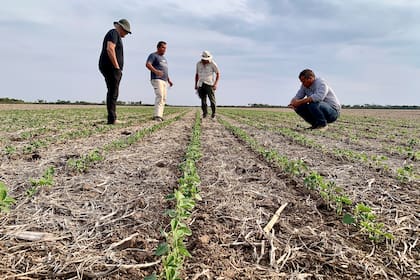 Entre los puntos está respetar protocolos de trabajo