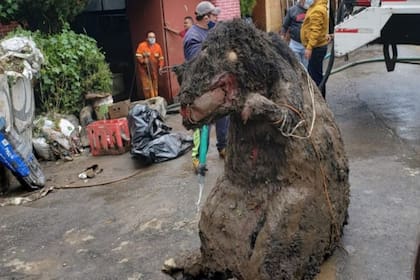 Entre otros objetos, se encontraron muebles y materiales de construcción en las cloacas de la ciudad