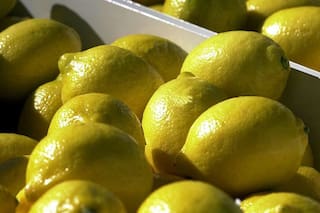 El Gobierno creó un sistema de monitoreo de las exportaciones de jugo de limón a Estados Unidos