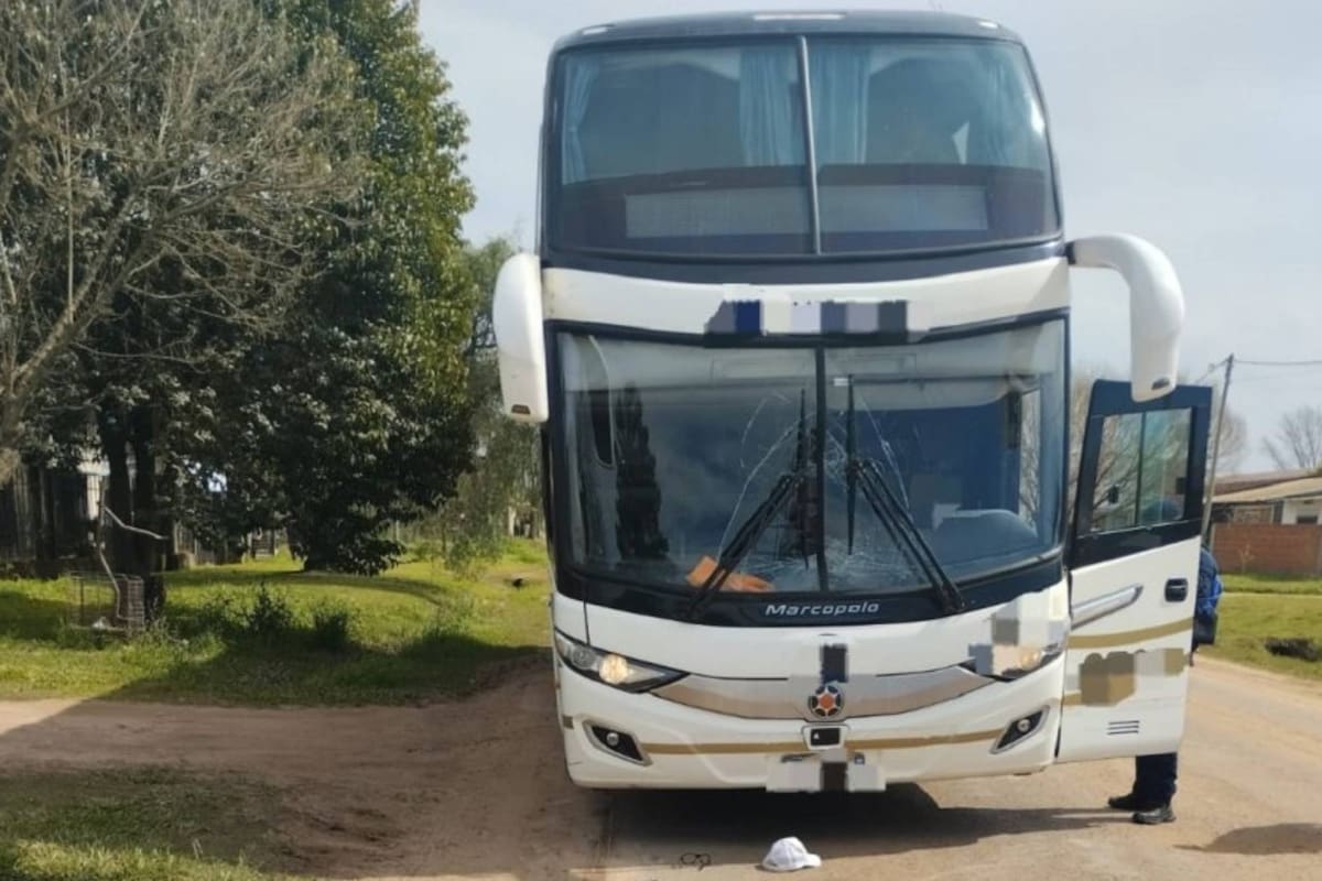 Entre Ríos: un colectivero acusado de atropellar y matar a un hombre tenía 1,47 g/l de alcohol en sangre.