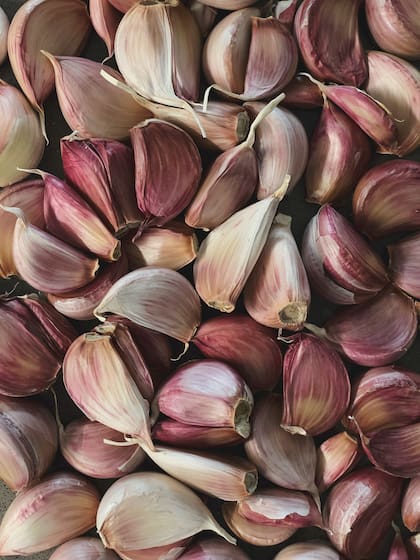Entre sus muchas propiedades, el ajo es un antibiótico y antiséptico natural