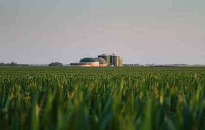 Entre US$3 millones y US$4 millones es la inversión requerida para producir un mega