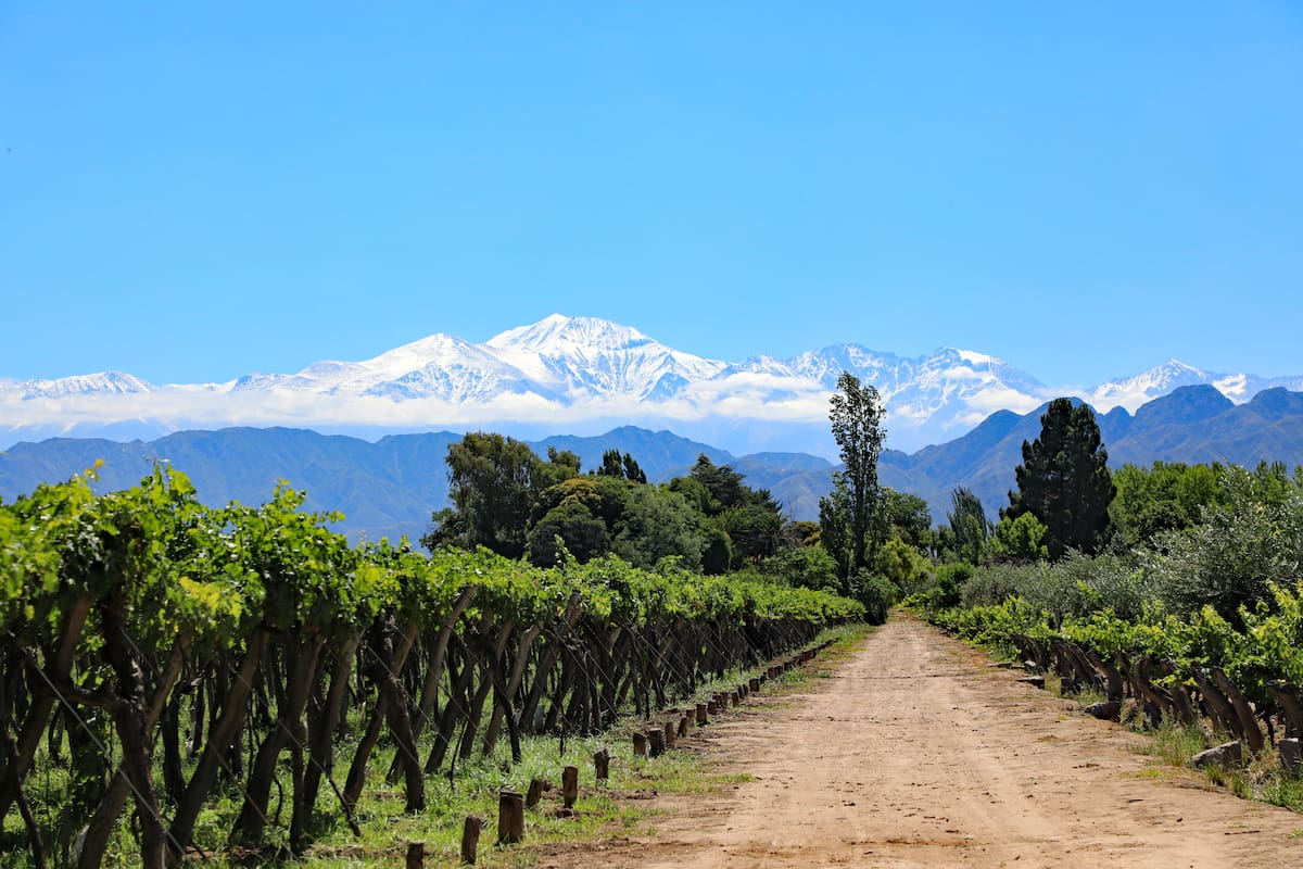 Entre viñedos y montañas, nuevos sabores para descubrir en Mendoza