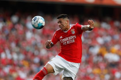 Enzo Fernández llegó a Benfica desde el River de Gallardo, se adaptó muy rápido y se convirtió en uno de los referentes del equipo