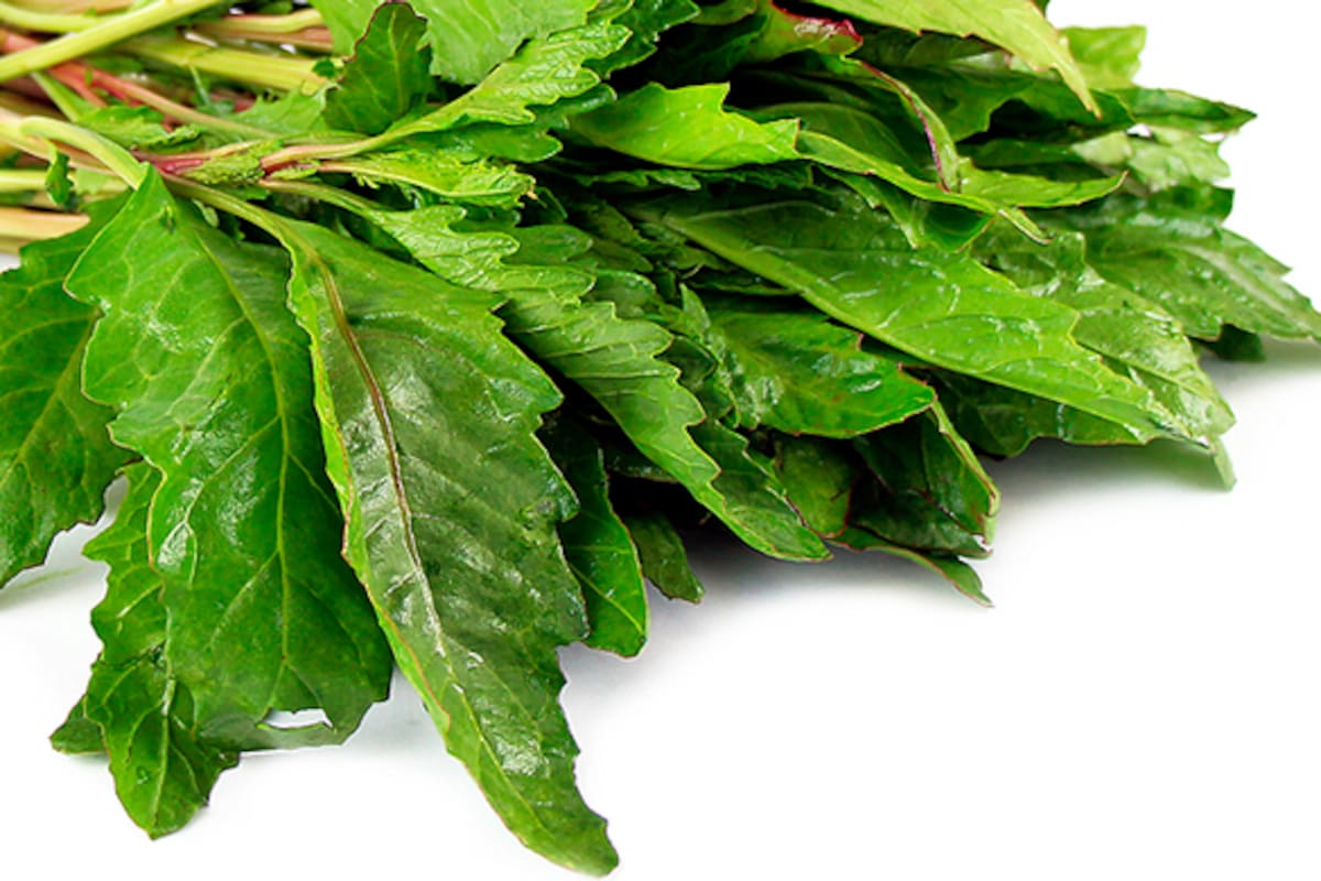 Epazote, la planta nativa americana que puede combatir diversos malestares