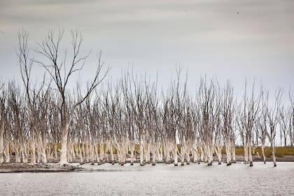 Epecuén. El pueblo quedó bajo el agua con la inundación de 1985. Foto: Ignacio Arnedo
