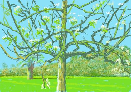 Desde que comenzó la pandemia, cuenta Hockney, los árboles florecieron. "Este virus anda desaforado y mucha gente mencionó que mis dibujos le daba un gran respiro ante lo que esta sucediendo", se alegró