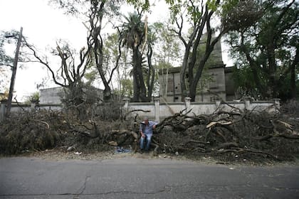 BARRACAS. Las ramas caídas y los troncos deshechos ocupan casi toda la cuadra