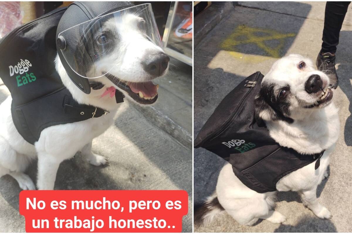 Equipada con una pequeña mochila, Any reparte hamburguesas veganas. Fuente: Garritas Guerreras/Facebook