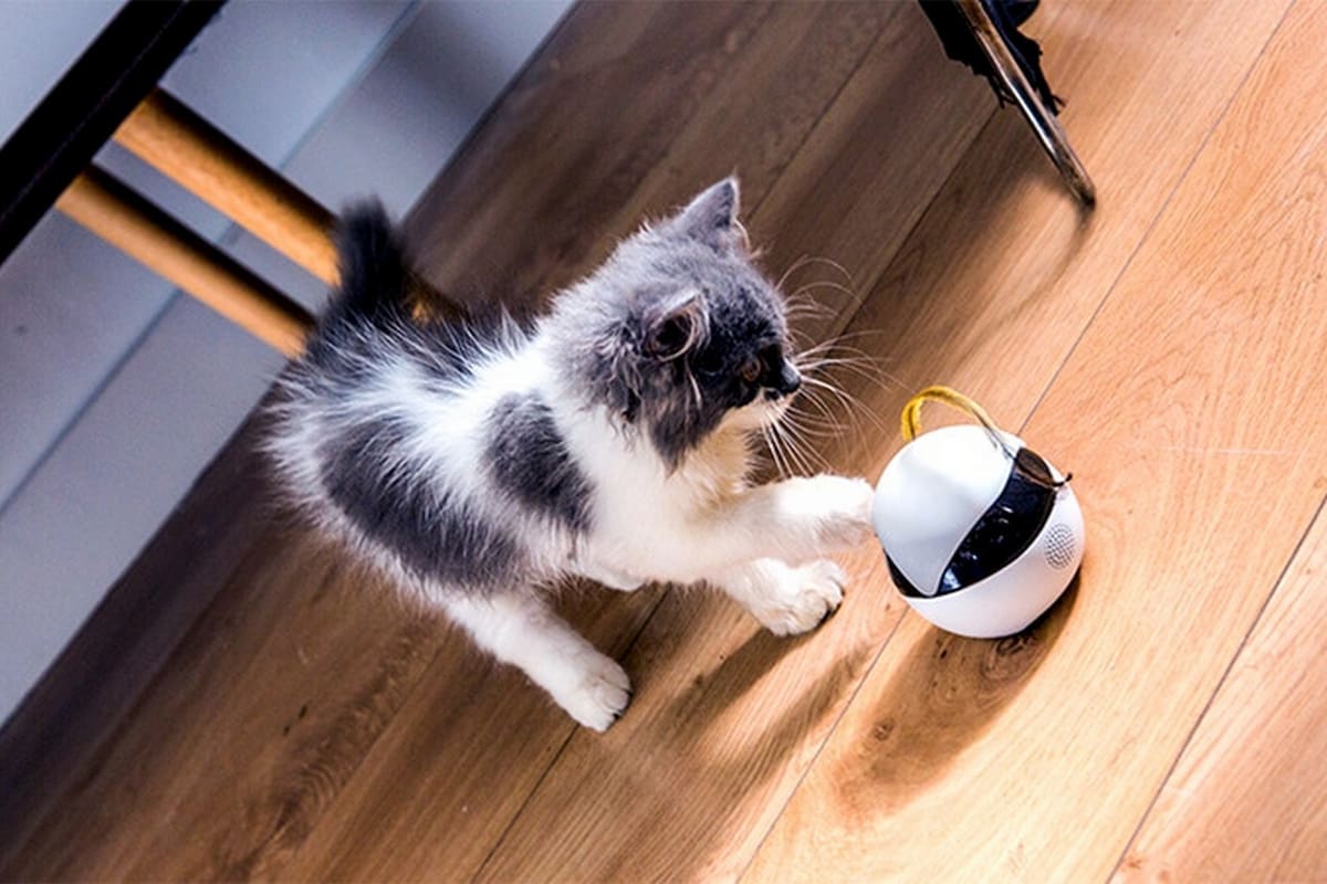 Equipado con una cámara HD y conexión Wi-Fi, el dispositivo permite mantener entretenido al felino mediante movimientos autónomos y diversos estímulos visuales y sonoros