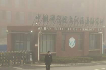 Equipo de OMS visita el instituto de virología de Wuhan en China - Fuente: AFP