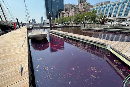 Equipos limpian derrame de 2.000 galones de combustible en el puerto de Baltimore