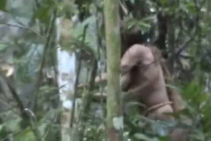 Era el último de su comunidad y se desconoce cuál era su etnia