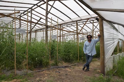 “Era un producto tan bueno que se vendía solo”, recuerda Kunis sobre los primeros años del proyecto