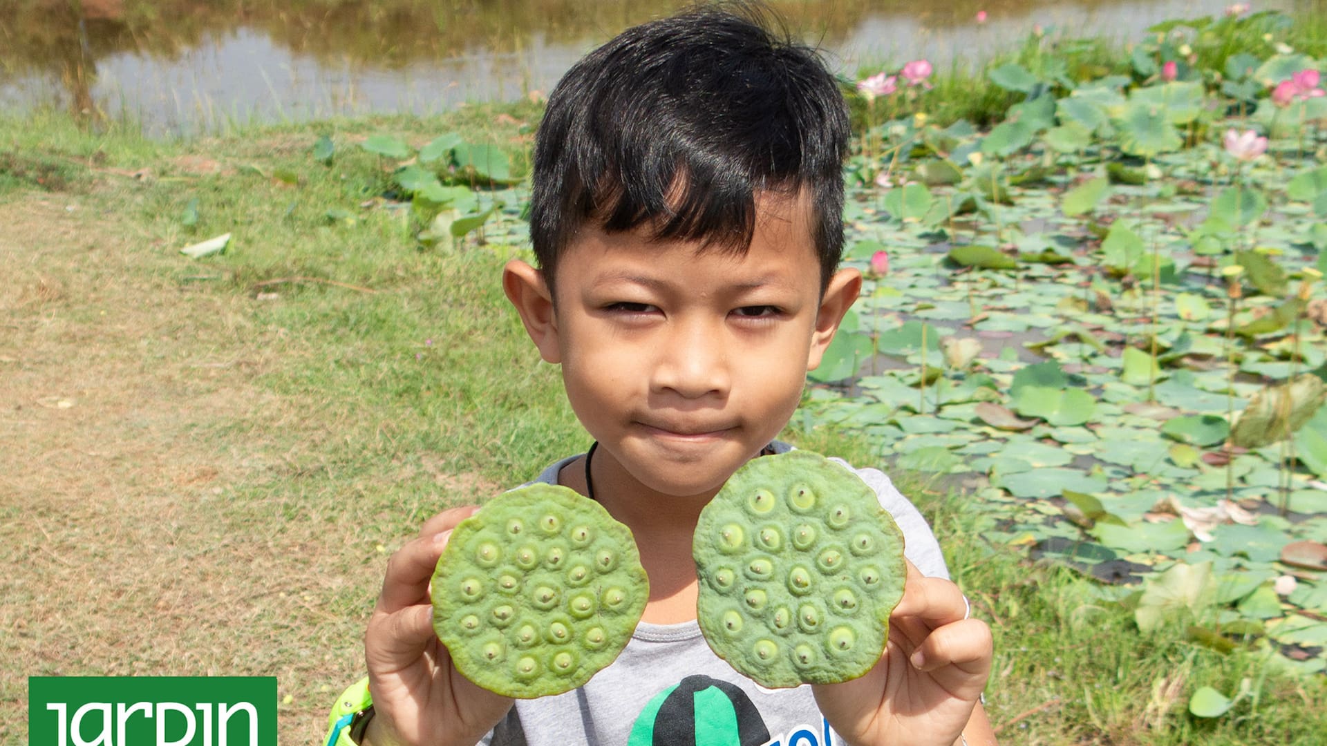 Erik es uno de los tantos habitantes de Camboya que recogen las flores de loto para alimentarse.