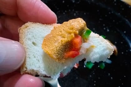 Tostón con erizo de Volver