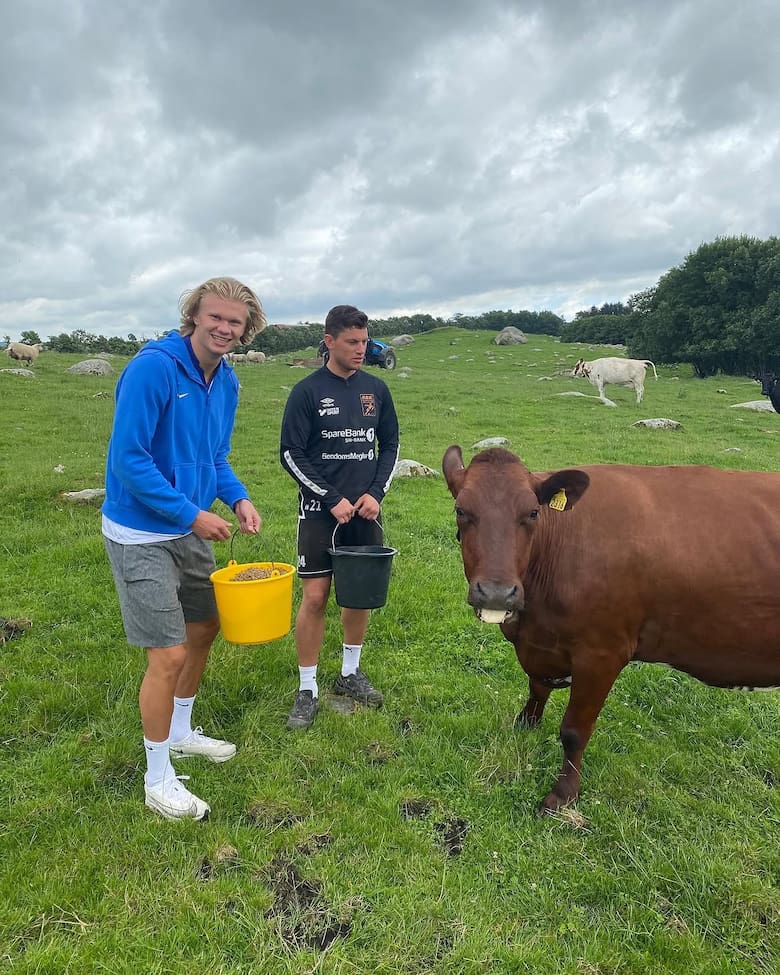 Del Mundial al campo: el sueño rural que persigue Haaland