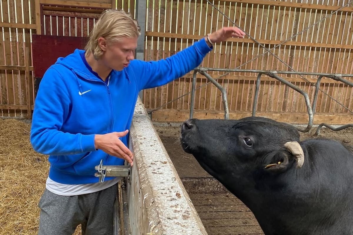 Erling Haaland en la granja familiar