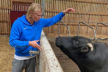 Haaland quiere ser “el mejor agricultor” de Noruega