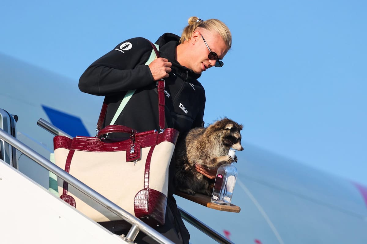 Erling Haaland, jugador estrella de Noruega, aterrizó este lunes en Oslo, Noruega, con un "mapache" como acompañante