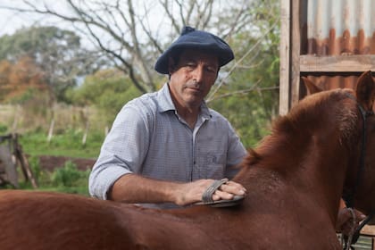 Ernesto Astorga está a cargo de los caballos, entre otras cosas.