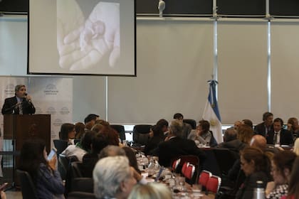 Ernesto Beruti, jefe de obstetricia del Hospital Austral