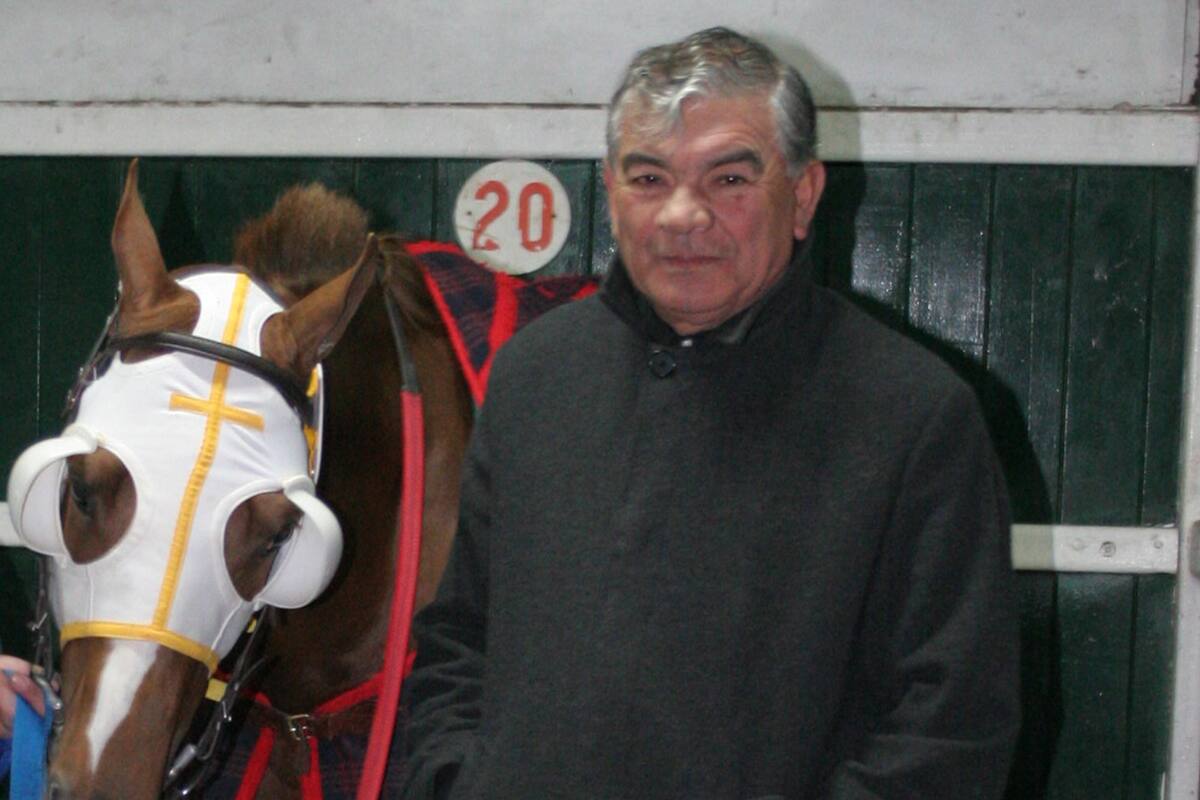 Ernesto Romero , cuidador de caballos .