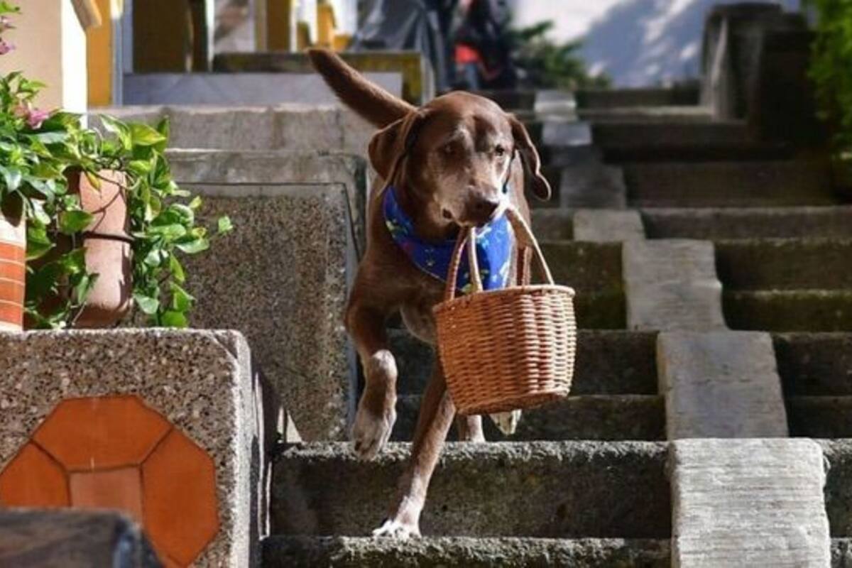 Eros hace el delivery a domicilio