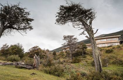 Errante eco-lodge, pura vista en un entorno agreste.