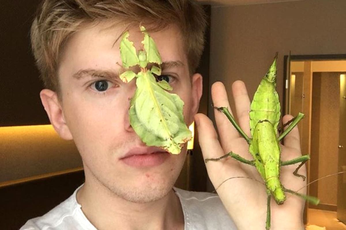 Es alemán, convive con 600 insectos y es un fenómeno en las redes sociales.