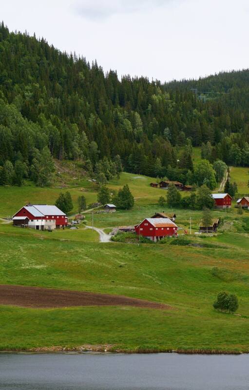Es argentina y vive en Noruega: “El gobierno dejó en manos de cada persona cómo comportarse”.