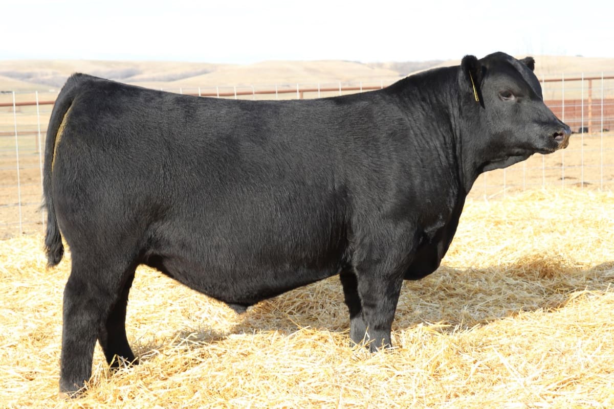 Es clave definir la estrategia en torno de la compra de un reproductor