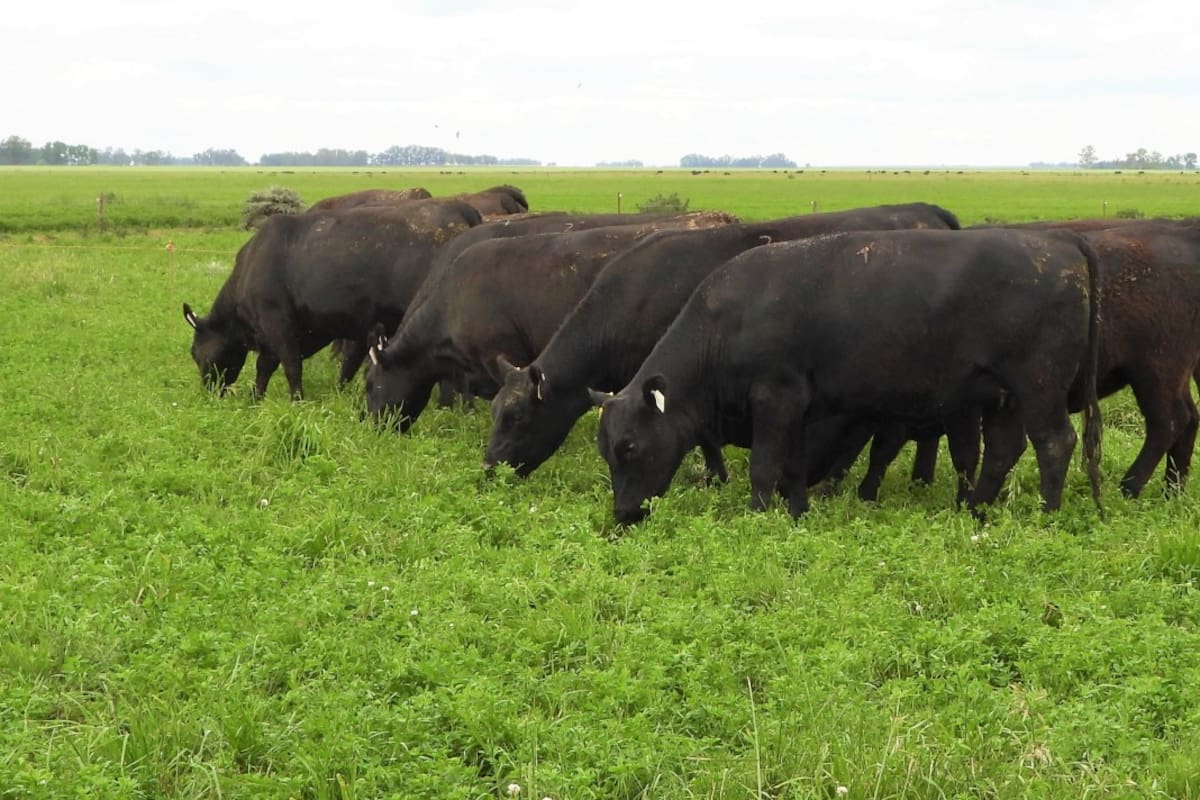 Es clave el seguimiento de la información para tomar decisiones