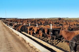 La Argentina podría duplicar la producción de carne vacuna si lograra “empatar” a Estados Unidos en un indicador
