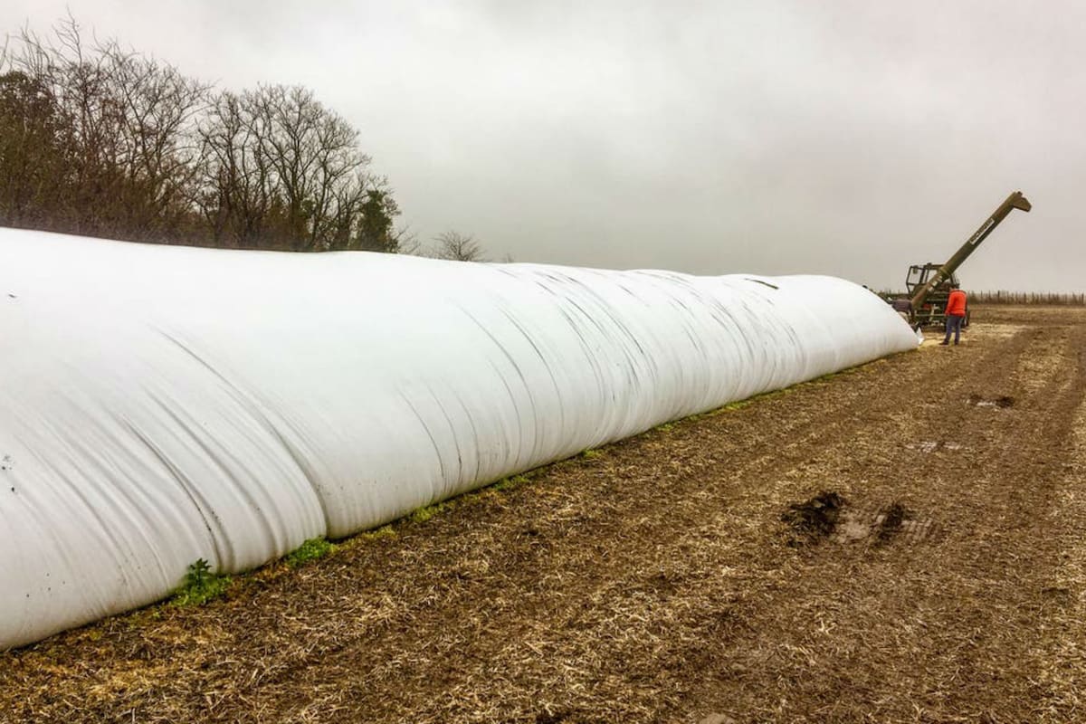 Es clave seguir pautas para una mayor eficiencia