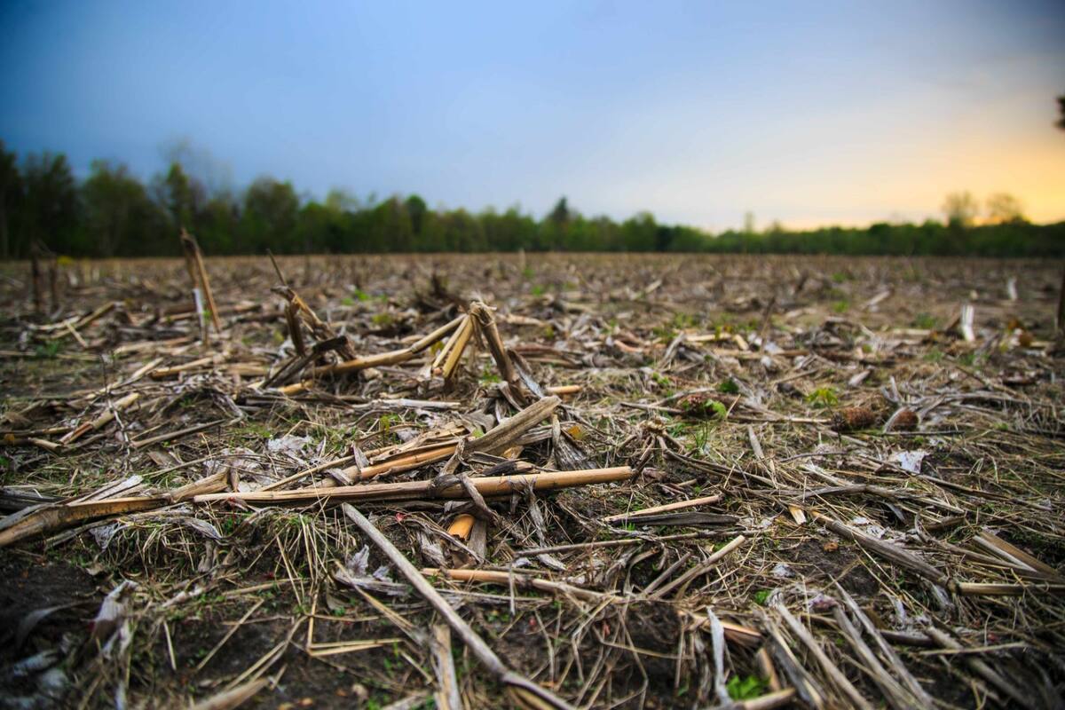 Es clave un buen control