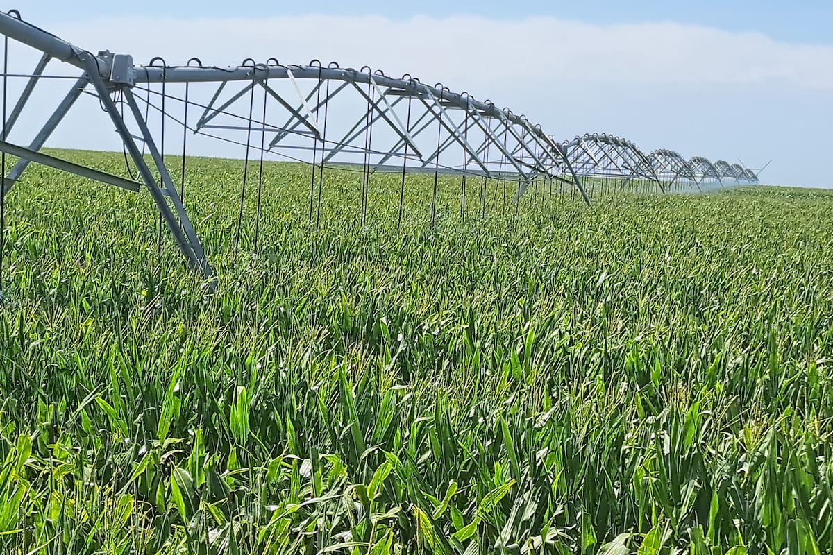 Es clave un desarrollo armónico para el sector