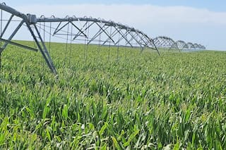 Sobre el Plan Federal Agroindustrial: su falla genética y la posibilidad de aplicarle Crispr